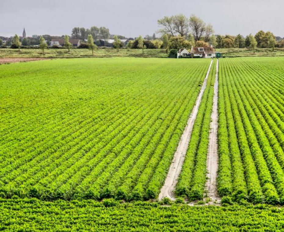 akker op Schouwen-Duiveland