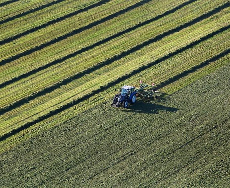 Landbouwer aan het oogsten