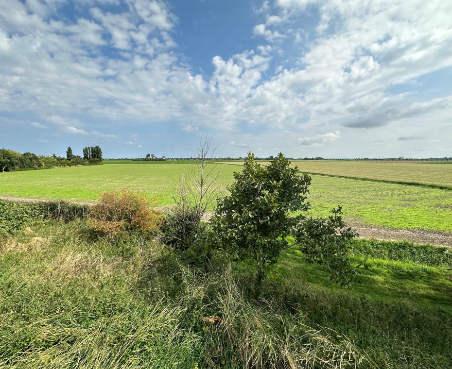 Perceel van een van de deelnemende agrariers