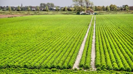 akker op Schouwen-Duiveland