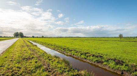 Landschapsfoto met waterloop