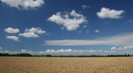 graanveld met mooie wolkenlucht erboven