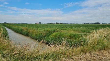 Foto voorkant lerende evaluatie watergang