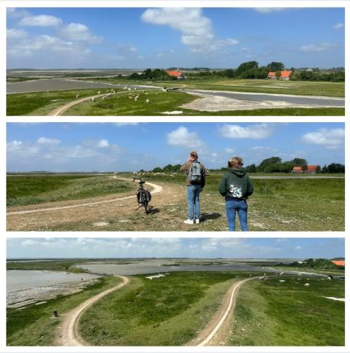 collage nr 3 14 mei 2025